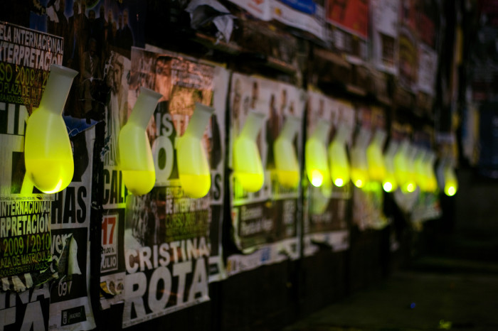 3883101538_98573e330d_b